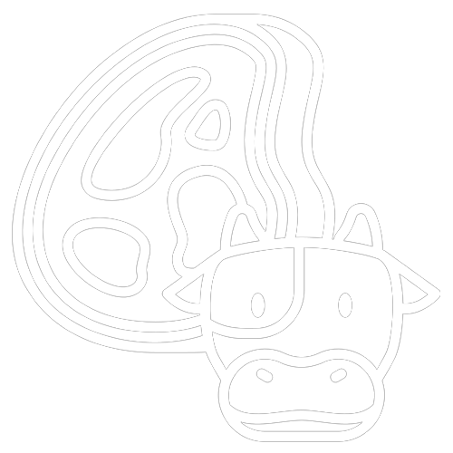 Beef